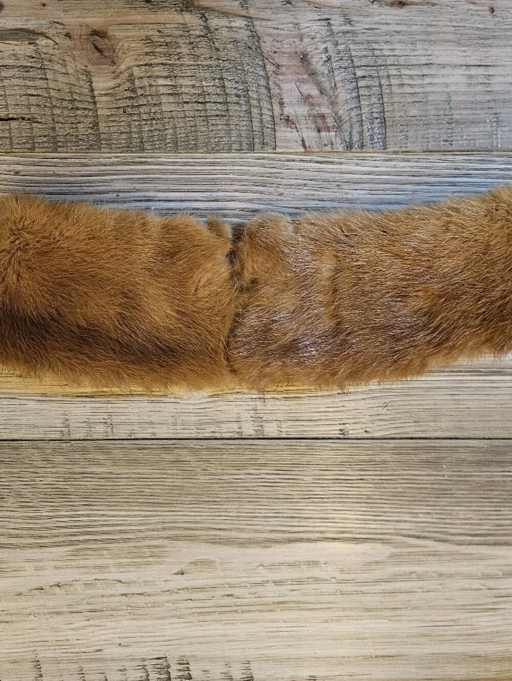 Vintage Fox Collar